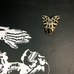 EBM / New Wave / Industrial