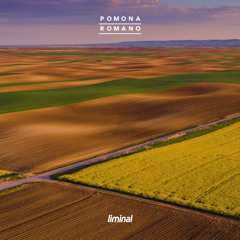 All You Will Never Know