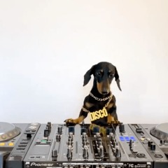 Bottega