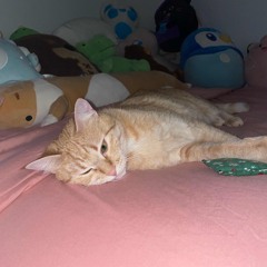 novacane prod. plath (Fantasy track 7) (UNRELEASED)