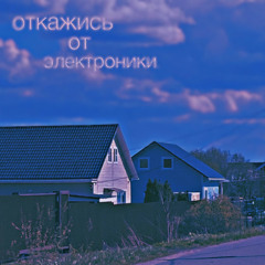 #2038 откажись от электроники + Орангудэнг Вазя