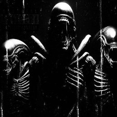 LOCTIFY - Xenomorph (Guitar Remix) [prod. Leonxr x Insane]