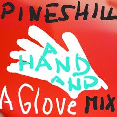 Mix: A Hand and a Glove