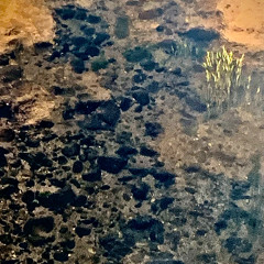 Waiting, and Then, the Flute, My Heart, Sings