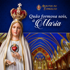 Ave Maria , Virgo Serena