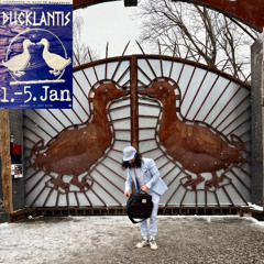 Frag Maddin @ Sisyphos Wintergarten, Ducklantis NYE Party, 03.01.26 - 4-7am