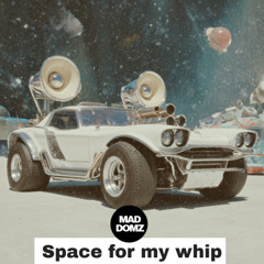 space for my whip
