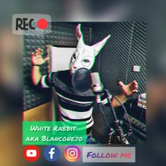 White Rabbit aka Blanconejo songs