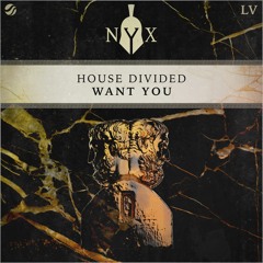 House Divided - Want You