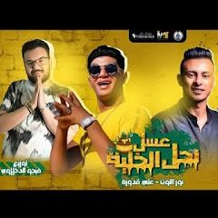 مهرجان عسل نحل الخلية نور التوت - علي قدورة - تووزيع فيجو الدخلاوي 2020 - Storm World Prodctio