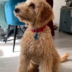 medicine (interlude) prod. engless