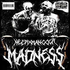 MADNESS (PHONK) [SpeedPhonk]