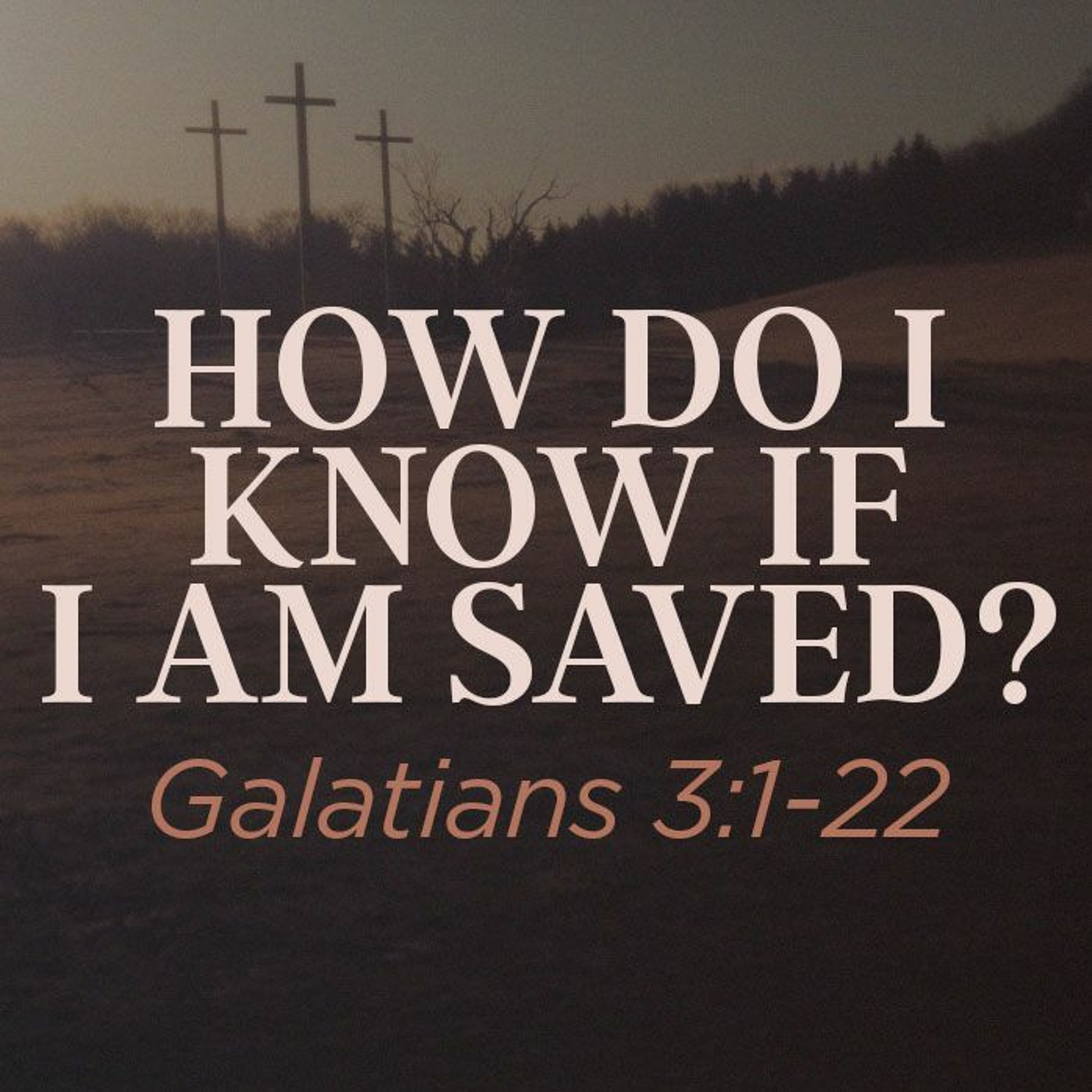 Sunday Sermons