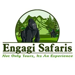 Enjoy Luxury Tanzania Safari Holidays - Kibera Holiday Safaris