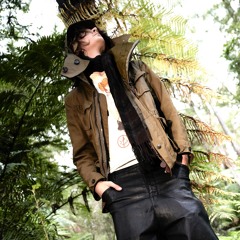 inner_sin (lesioncovered + veille)