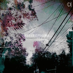 parkbreezy x TF Marz - Reflections