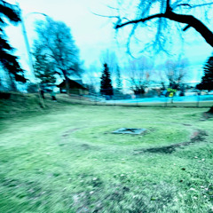 LordDarkTree (by Aedan and Sam)