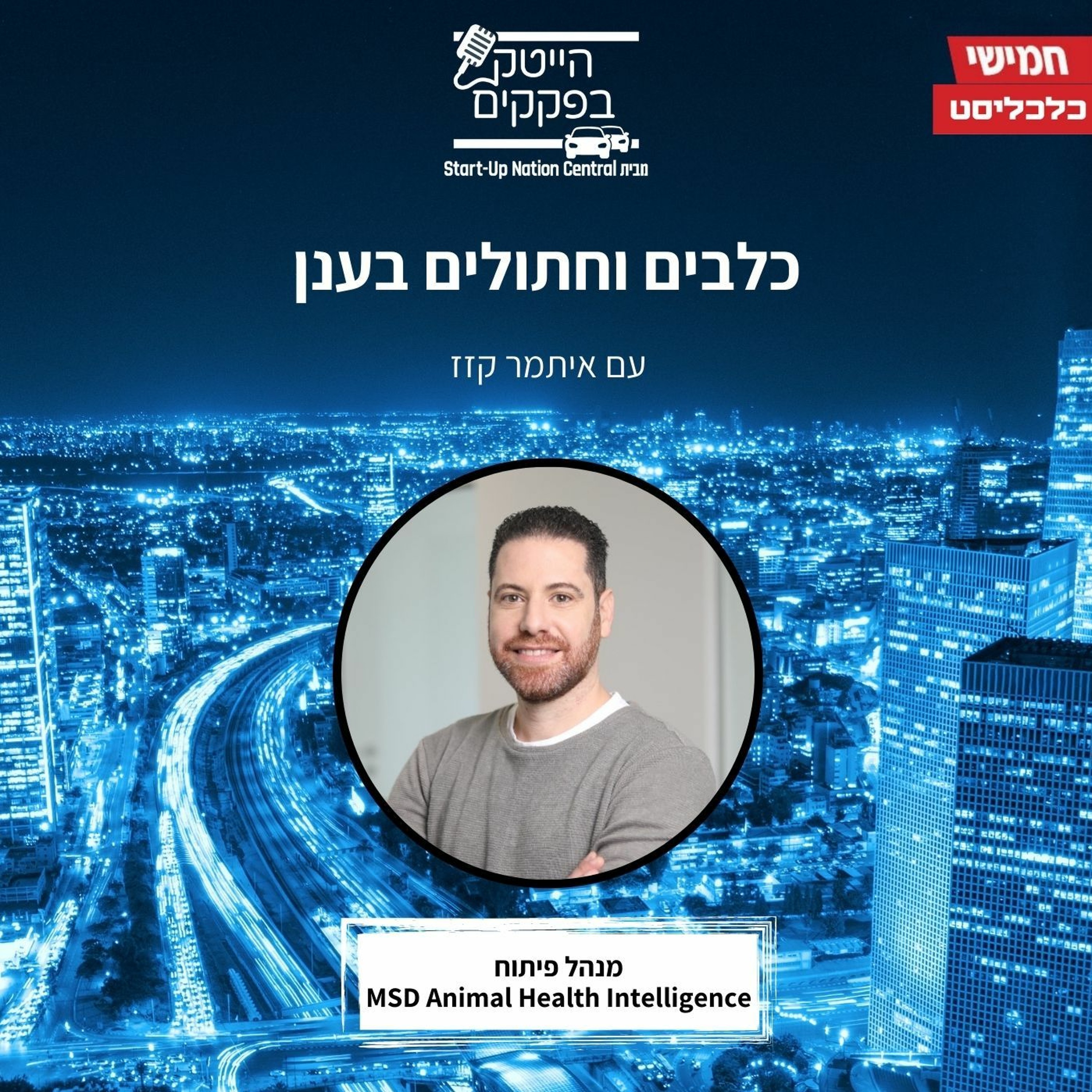 כלבים וחתולים בענן episode artwork
