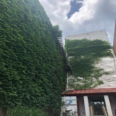 SMS (prod. caughtmedead)