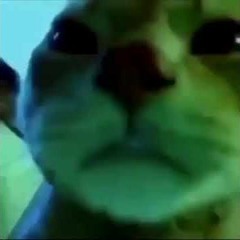 Come on, Look (Frenchcore Bootleg)