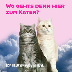 Lisa Filou @ Kater. Sweet Kiosk Rave with Skalar & Rebellion. 2025