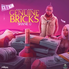 Genuine Bricks
