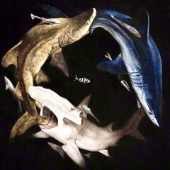 Liwoo2Tact & Jah Briccs - Sharks and Minos