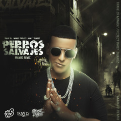 Daddy Yankee - Perros Salvajes (Trave DJ x Wally Suarez x Minost Project Mambo Remix)