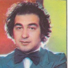 یه زمون کار من این بود مثل دیوونه ها