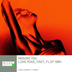 Like Mike, Cazt, Flip (BR) - Around You