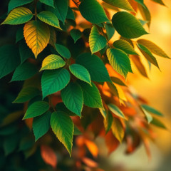 1988 ລະດູໃບໄມ້ຫຼົ່ນ — ແມ່ນຄວາມເຖົ້ານ້ອຍ, ລະດູໃບໄມ້ຫຼົ່ນ — ແມ່ນການເສຍຊີວິດນ້ອຍ._