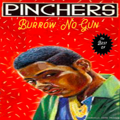 Chinchilla Choons Present - Pinchers - Best Of