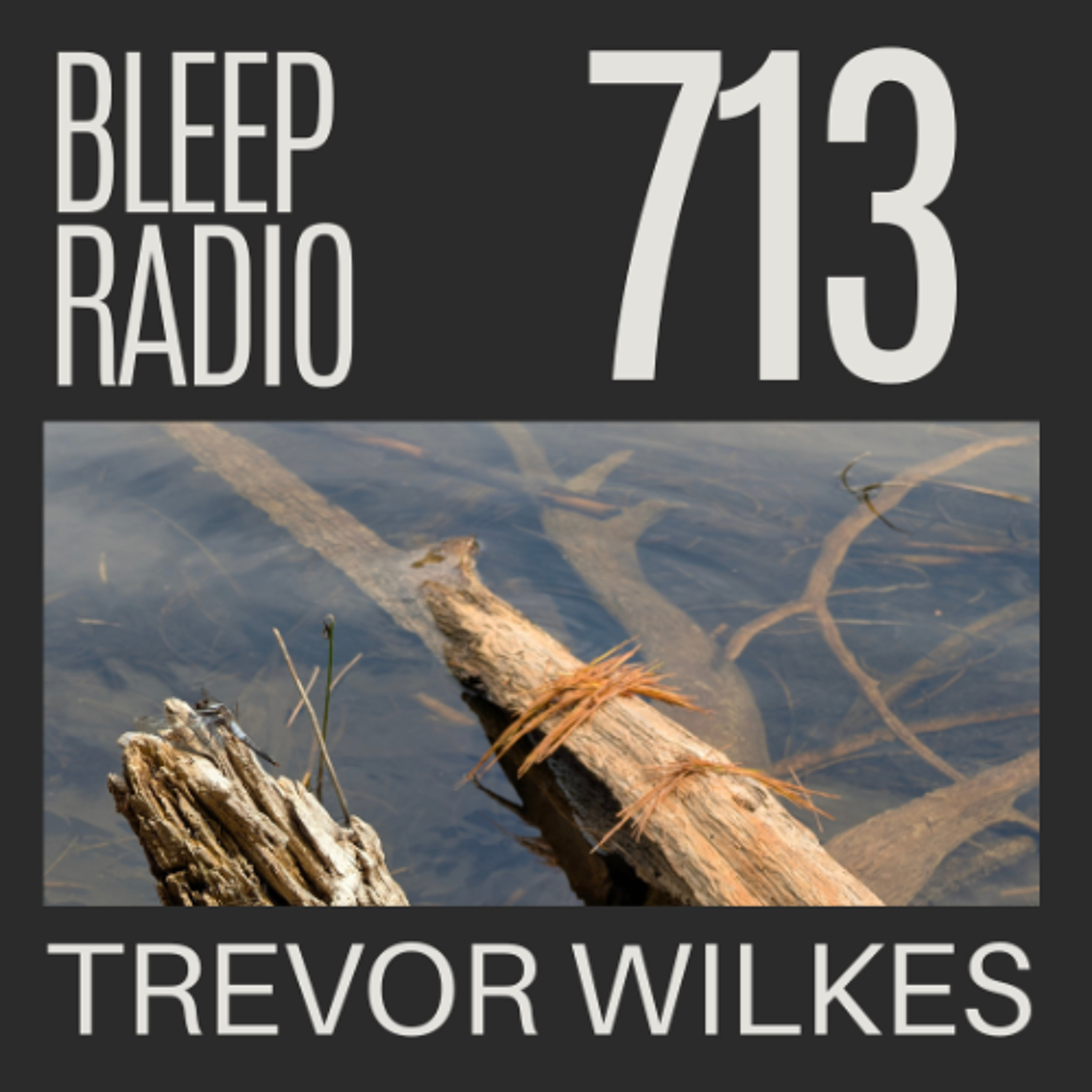 Bleep Radio w/ Trevor Wilkes