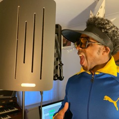 Goodby  - Vocals With Vicoustic Flexi Screen Ultra MKII