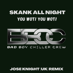 Skank All Night You (Remix)[Dirty]
