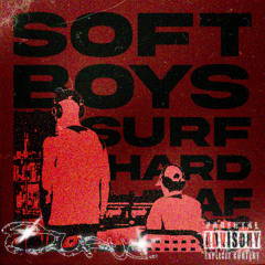 soft boys surfing hard AF