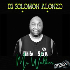 Mr Walker (Solo's 63rd St. Beach Bongo Dub)