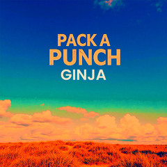 PACK a PUNCH