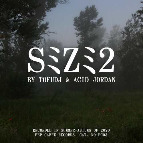 S-Z-2 - Untitled (A1) [PG03]