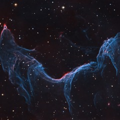 Strangers In The Night: Kalu