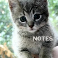 TÉLÉCHARGER Cahier de notes motif chaton mignon: Carnet de notes fantaisie et original pour les pa