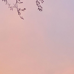 bright (frevel)