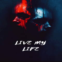 LIVE MY LIFE (Prod. VRTN)