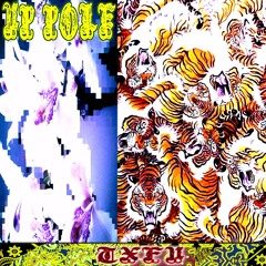 Up Pole! (prod. tadeoexq)