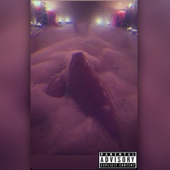 Reflections (prod Anthro Beats)