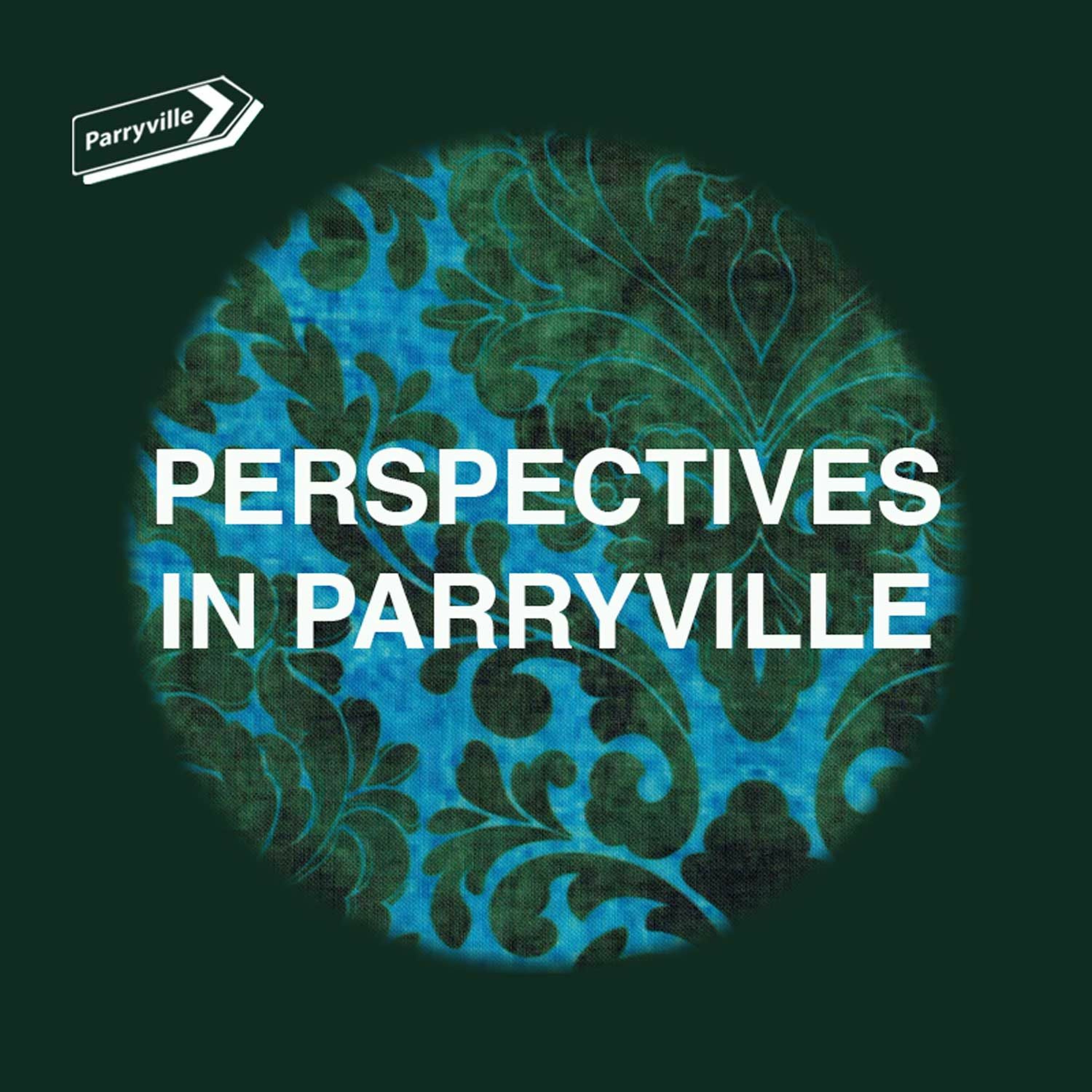 Perspectives in Parryville