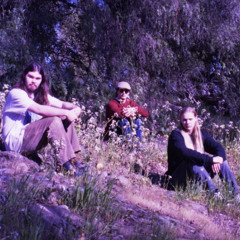 Long (EFFECTIVE DENIAL)