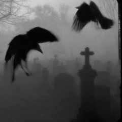 a tu combo en la calle nunca los vimos