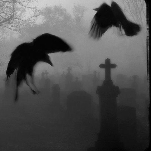 a tu combo en la calle nunca los vimos