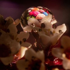 Carmín (Tinku) - Flores para Nayjama